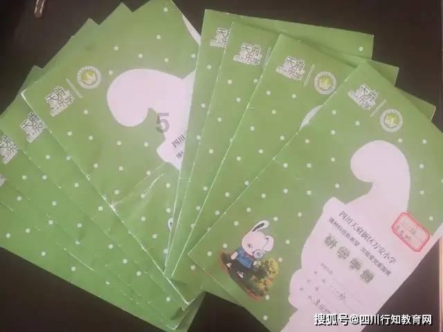 《完美伴侣》吴敏住豪宅无需赚钱养家，她为何还要选择离婚？